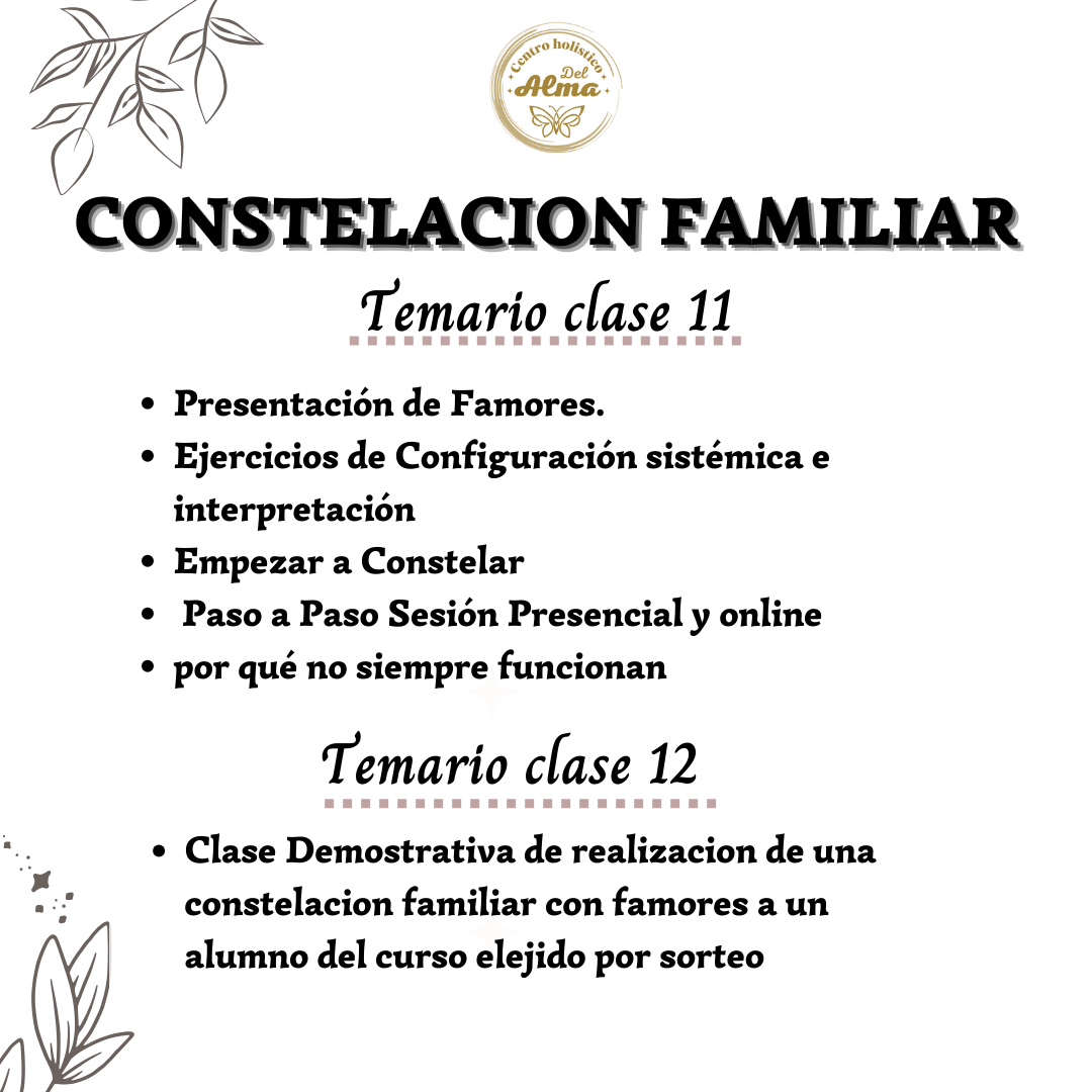 Curso Constelacion Familiar sesion Individual