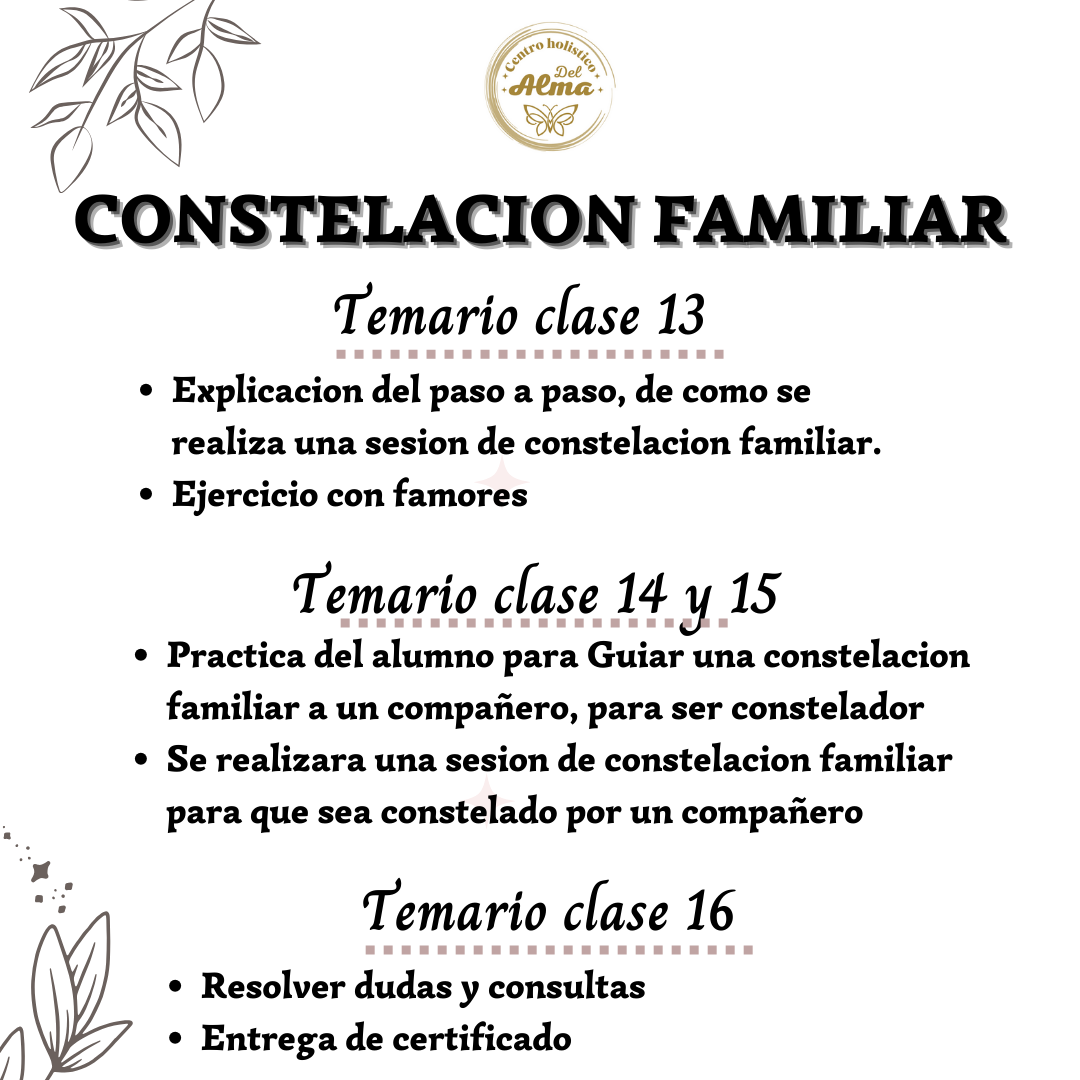 Curso Constelacion Familiar sesion Individual