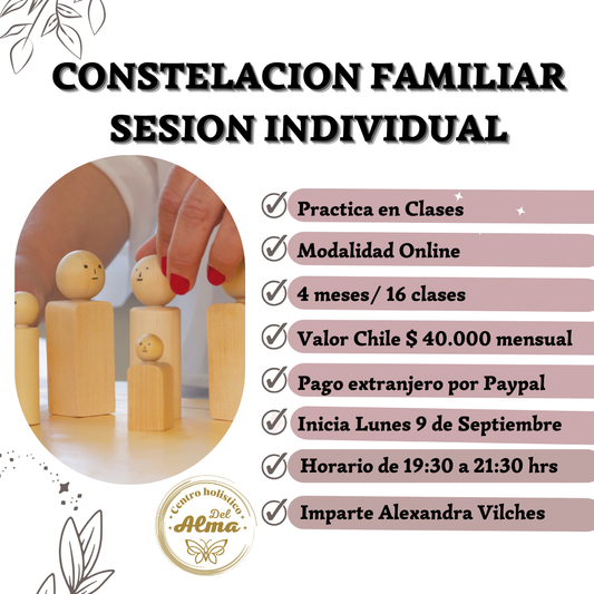 Curso Constelacion Familiar sesion Individual