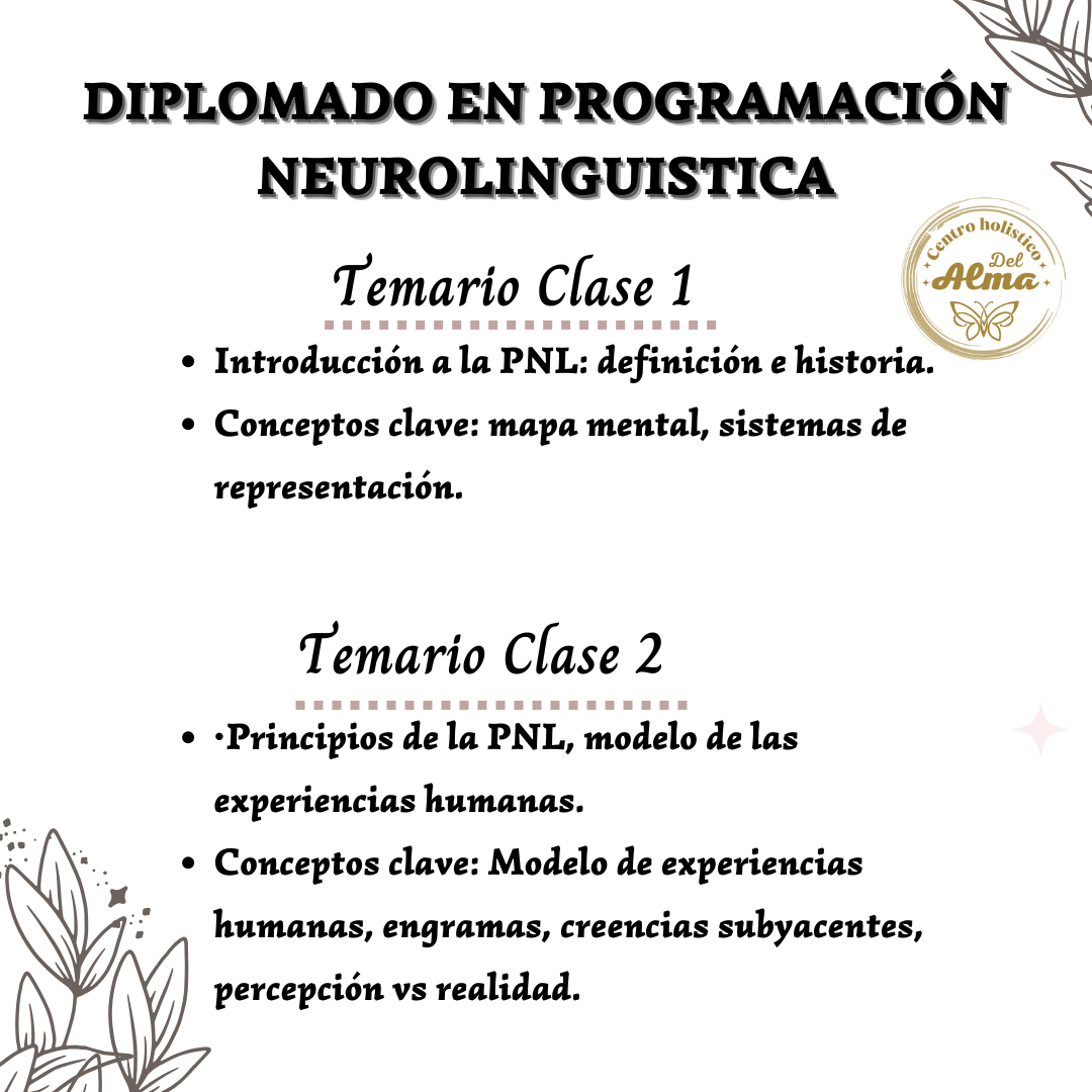 Diplomado en Programacion Neurolinguistica