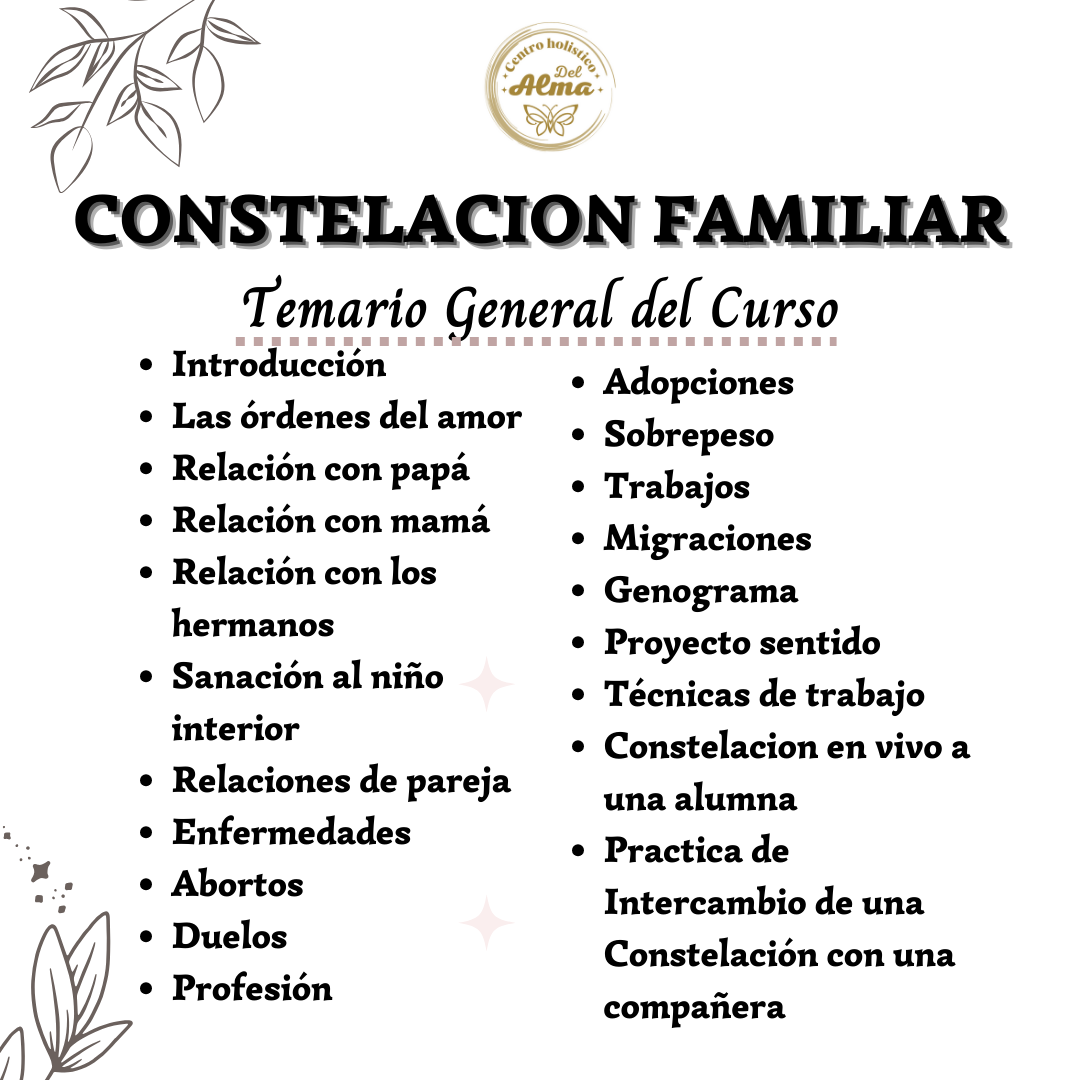 Curso Constelacion Familiar sesion Individual