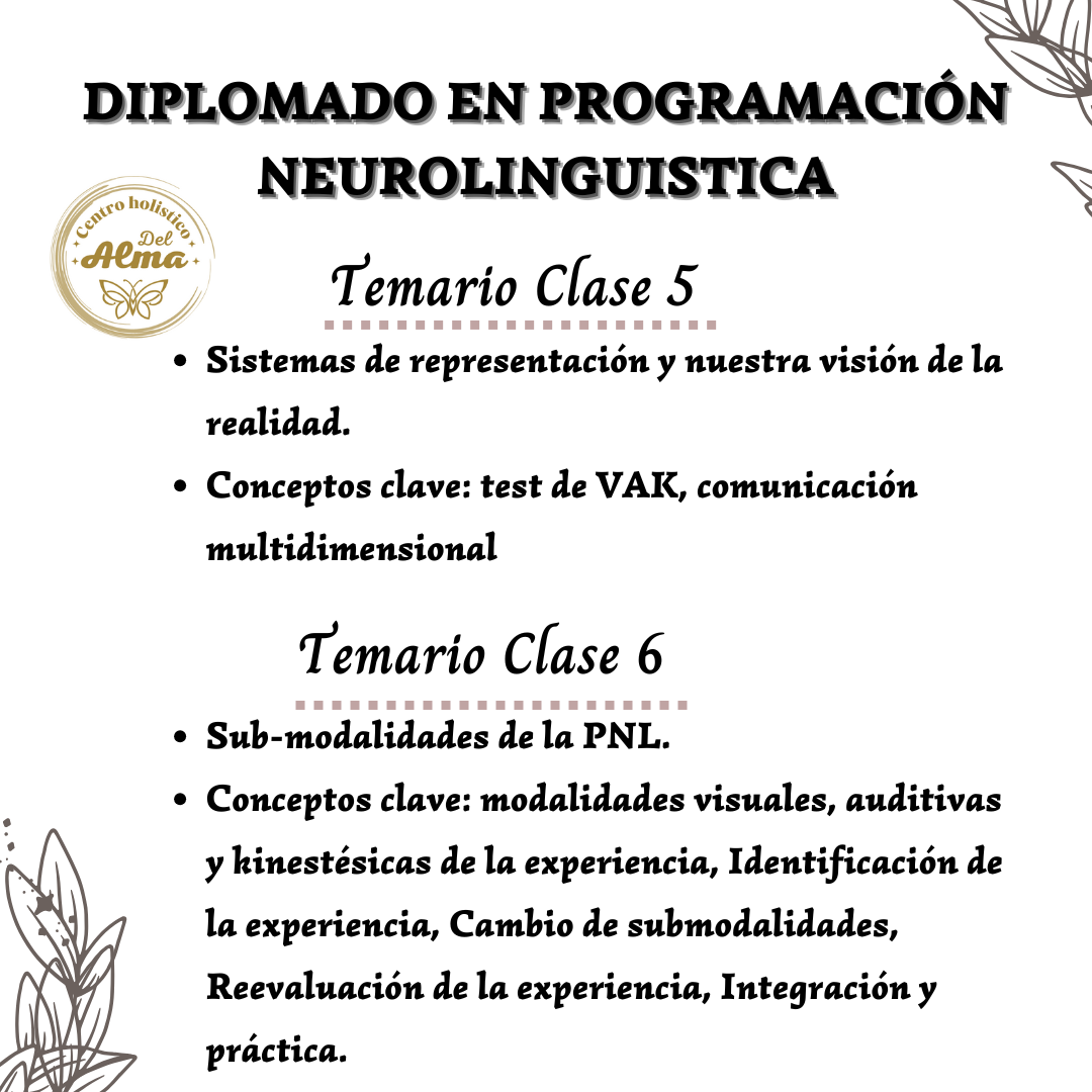 Diplomado en Programacion Neurolinguistica