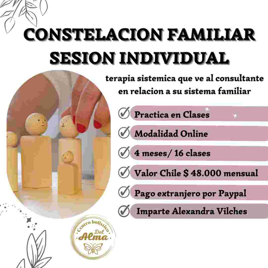 Curso Constelacion Familiar sesion Individual