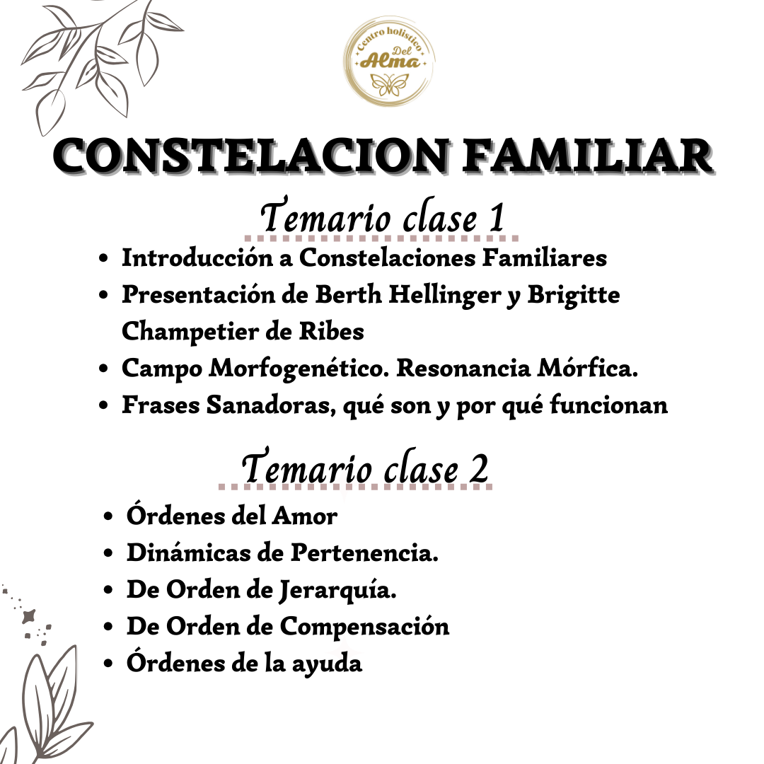 Curso Constelacion Familiar sesion Individual