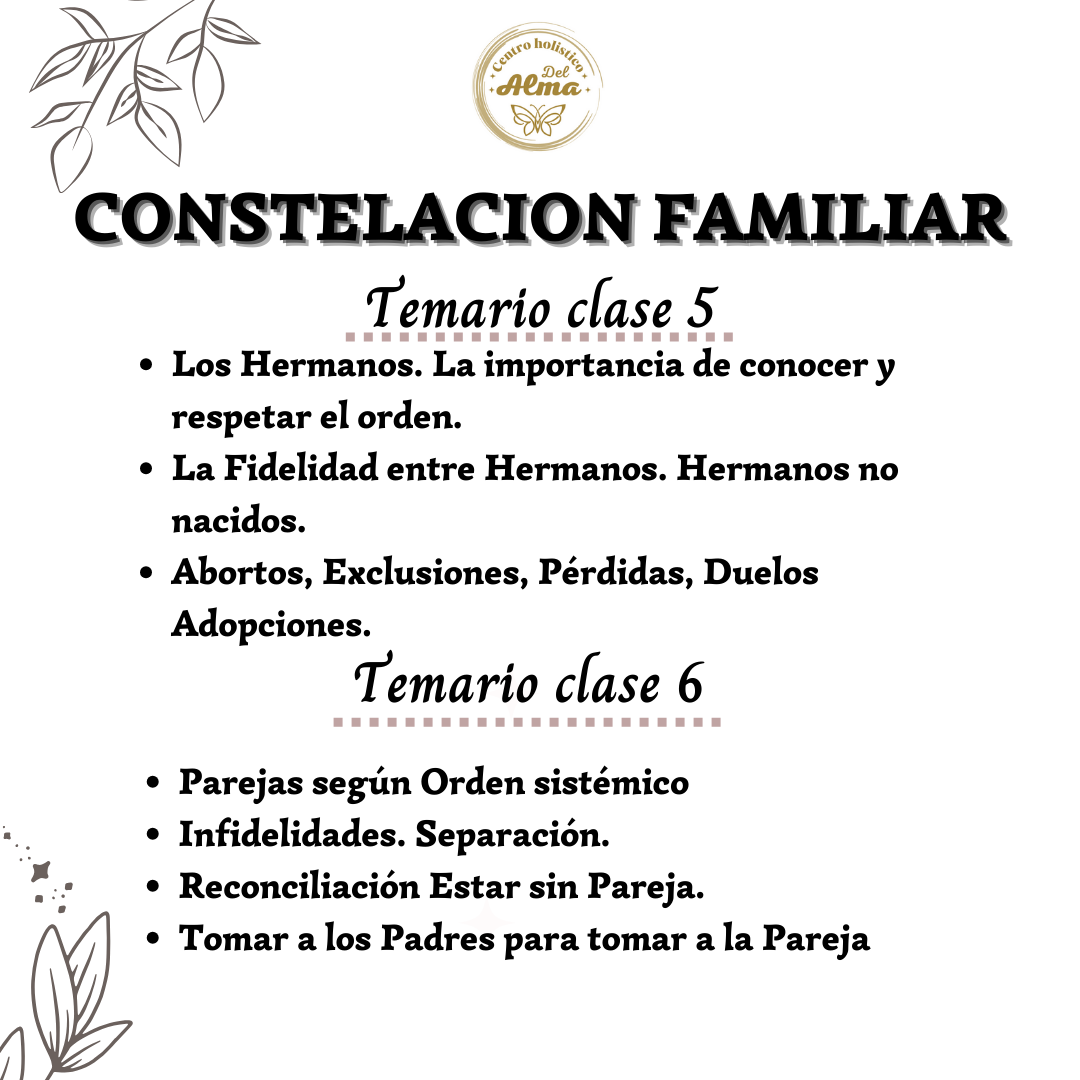 Curso Constelacion Familiar sesion Individual