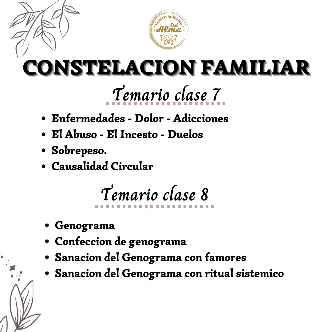 Curso Constelacion Familiar sesion Individual