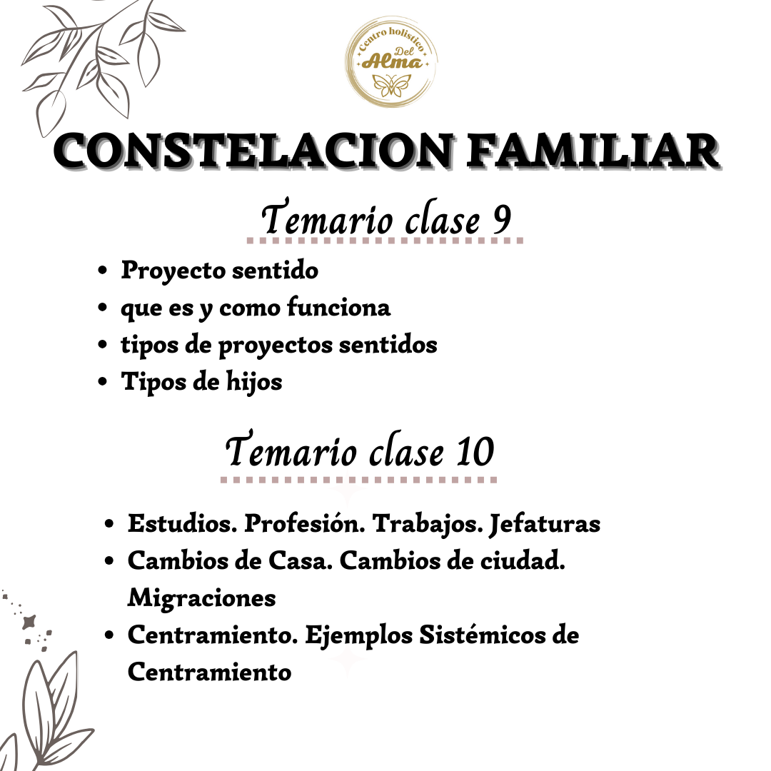 Curso Constelacion Familiar sesion Individual